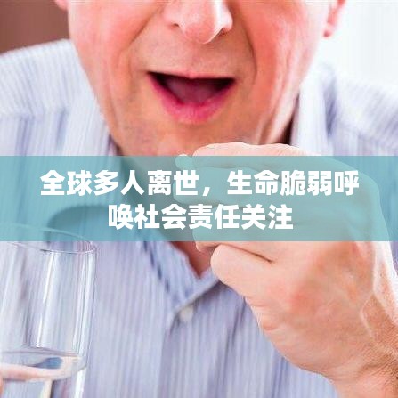 全球多人離世，生命脆弱呼喚社會責(zé)任關(guān)注