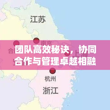 團隊高效秘訣，協(xié)同合作與管理卓越相融合