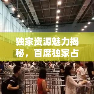 獨家資源魅力揭秘，首席獨家占有下載全攻略