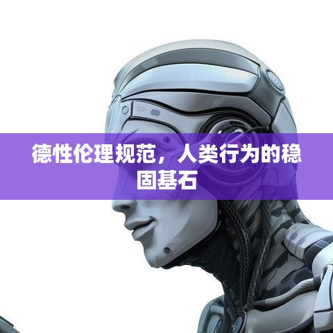 德性倫理規(guī)范，人類行為的穩(wěn)固基石