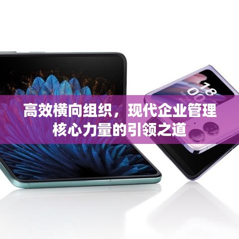 高效橫向組織，現(xiàn)代企業(yè)管理核心力量的引領之道