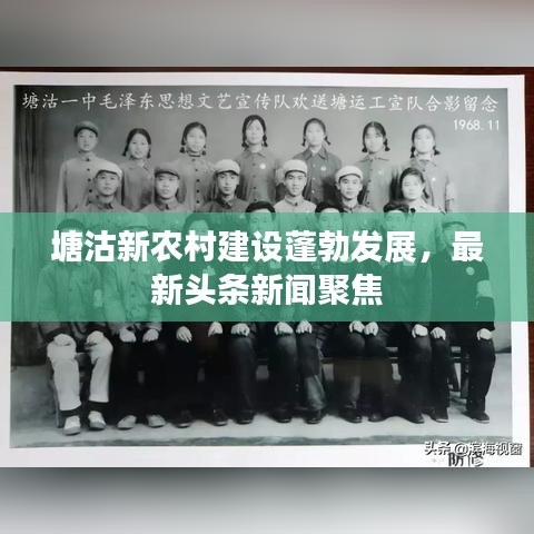 塘沽新農(nóng)村建設蓬勃發(fā)展，最新頭條新聞聚焦