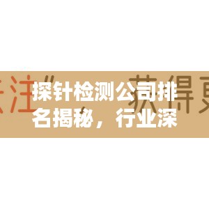 探針檢測(cè)公司排名揭秘，行業(yè)深度分析與趨勢(shì)預(yù)測(cè)