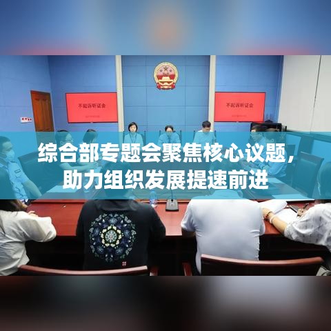 綜合部專題會聚焦核心議題，助力組織發(fā)展提速前進