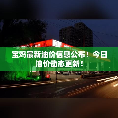 寶雞最新油價信息公布！今日油價動態(tài)更新！