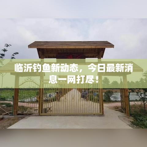 臨沂釣魚(yú)新動(dòng)態(tài)，今日最新消息一網(wǎng)打盡！