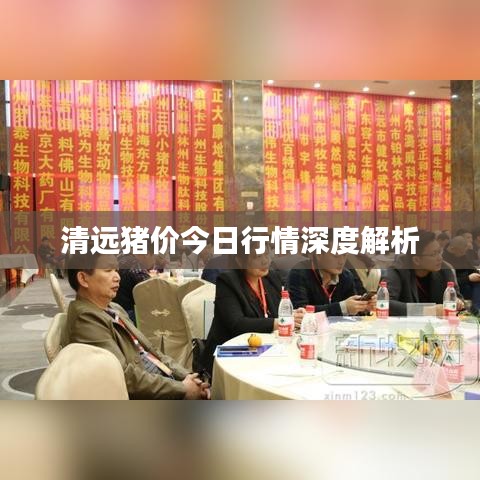 清遠(yuǎn)豬價今日行情深度解析