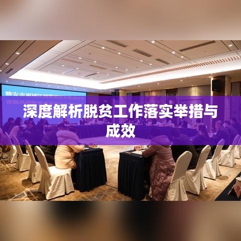 深度解析脫貧工作落實(shí)舉措與成效