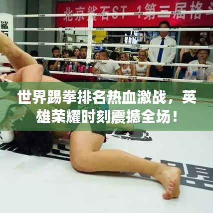 世界踢拳排名熱血激戰(zhàn)，英雄榮耀時刻震撼全場！
