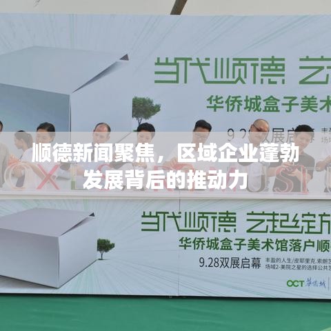 順德新聞聚焦，區(qū)域企業(yè)蓬勃發(fā)展背后的推動力