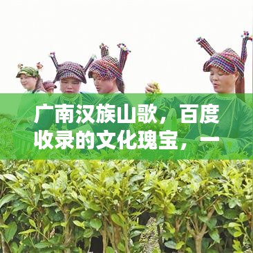 廣南漢族山歌，百度收錄的文化瑰寶，一曲傳承千年的旋律