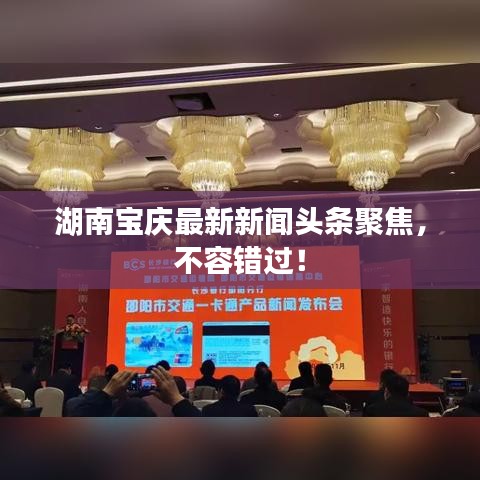 湖南寶慶最新新聞頭條聚焦，不容錯過！