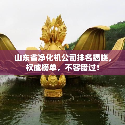 山東省凈化機(jī)公司排名揭曉，權(quán)威榜單，不容錯過！