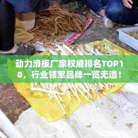 動力滑板廠家權(quán)威排名TOP10，行業(yè)領(lǐng)軍品牌一覽無遺！