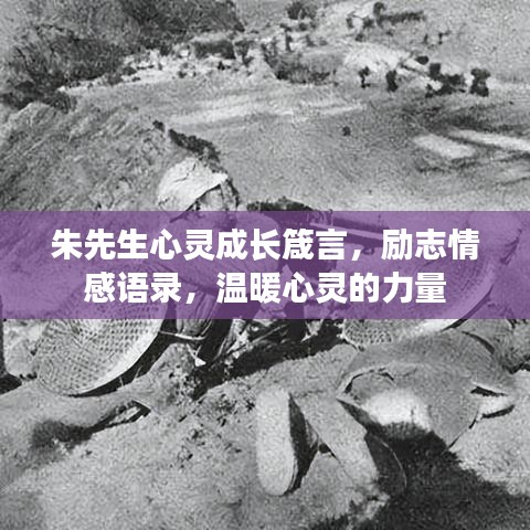 朱先生心靈成長(zhǎng)箴言，勵(lì)志情感語錄，溫暖心靈的力量