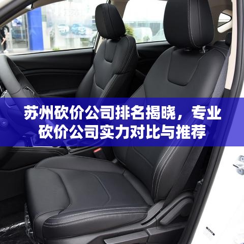 蘇州砍價(jià)公司排名揭曉，專業(yè)砍價(jià)公司實(shí)力對比與推薦