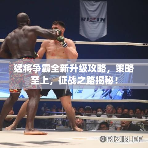 猛將爭(zhēng)霸全新升級(jí)攻略，策略至上，征戰(zhàn)之路揭秘！