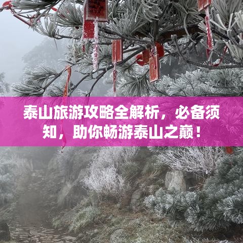 泰山旅游攻略全解析，必備須知，助你暢游泰山之巔！