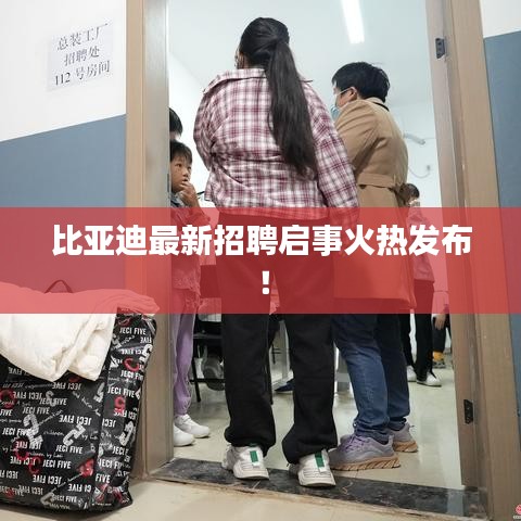 比亞迪最新招聘啟事火熱發(fā)布！