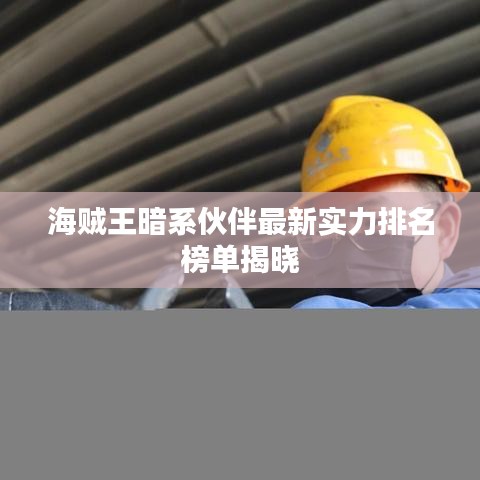 海賊王暗系伙伴最新實(shí)力排名榜單揭曉