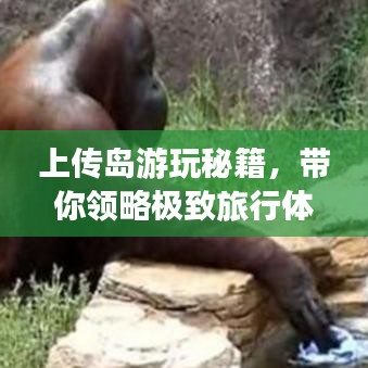 上傳島游玩秘籍，帶你領(lǐng)略極致旅行體驗(yàn)！