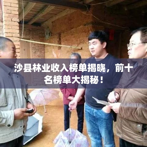 沙縣林業(yè)收入榜單揭曉，前十名榜單大揭秘！