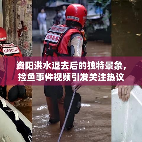 資陽洪水退去后的獨特景象，撿魚事件視頻引發(fā)關注熱議