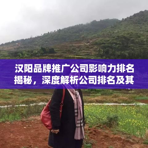 漢陽品牌推廣公司影響力排名揭秘，深度解析公司排名及其影響力